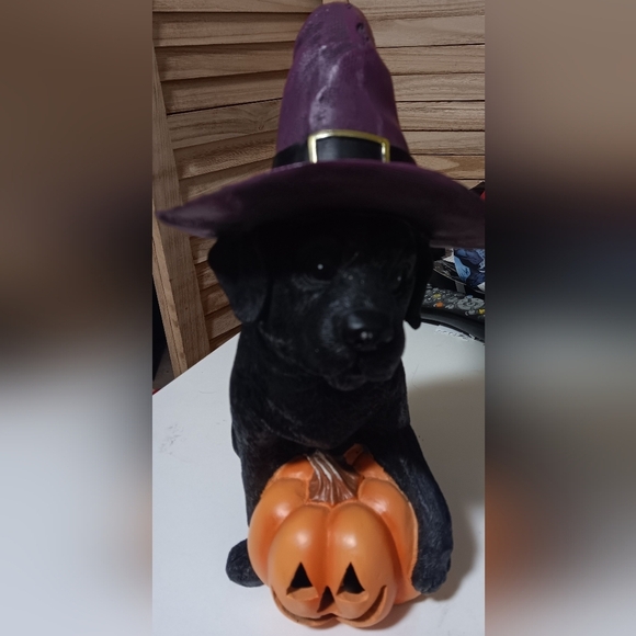 Other - Dog figurine Halloween hat decor black and purple